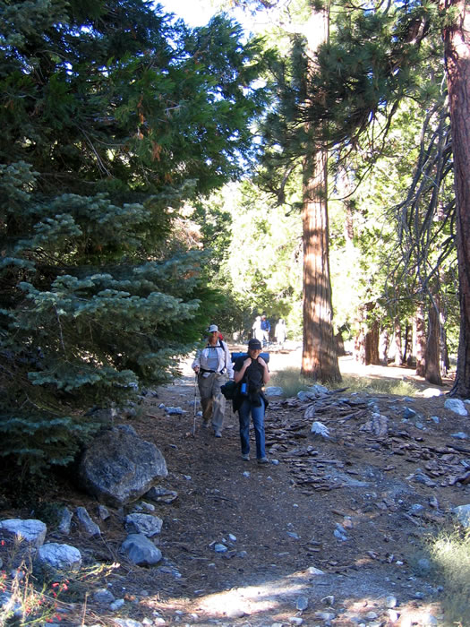 It's about a mile from the parking area to the Vivian Creek trailhead.