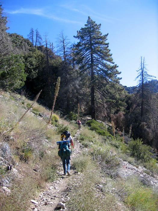 Hey, it wasn't this steep last time we hiked this!