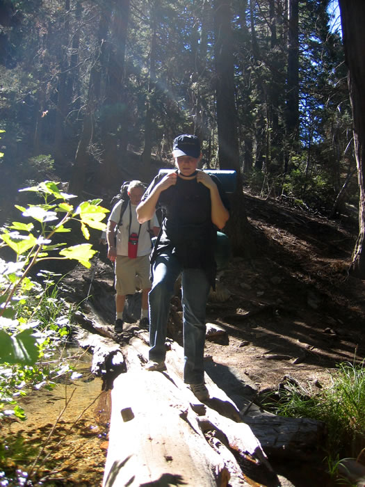 log crossing