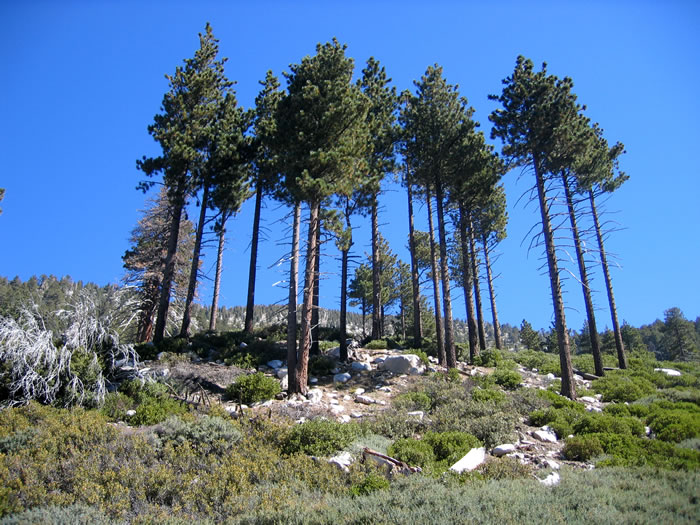As we climb up from the creek the views begin to open up.