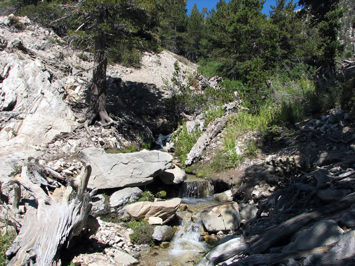 Niki explored along High Creek and down toward the falls.