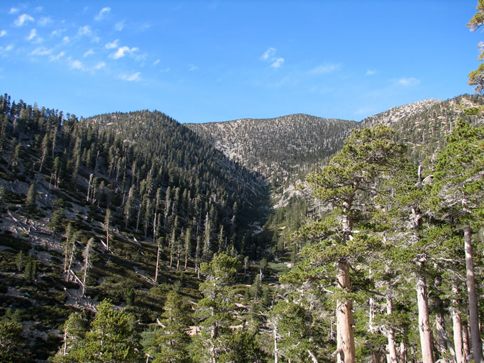 Looking up the canyon from camp.