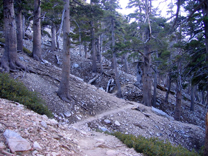 Morning finds us climbing the switchbacks away from High Creek.