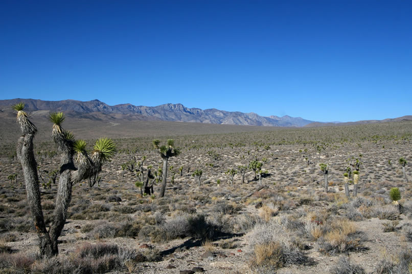 A quick look behind us shows that if we squint just right we can just barely see the white speck of the truck.  We sure can't complain about the scenery!