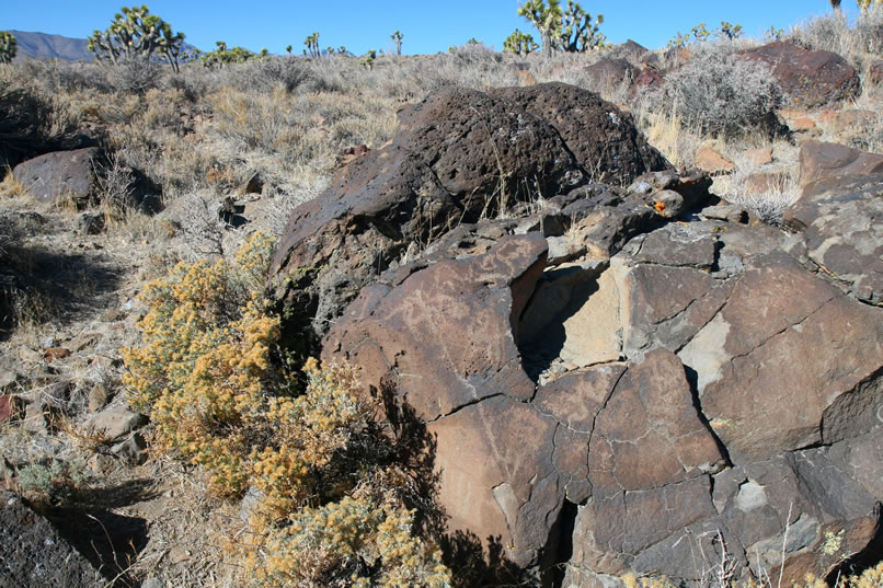 Many of these lower petros are starting to experience revarnishing, which generally indicates that they've been around for awhile.