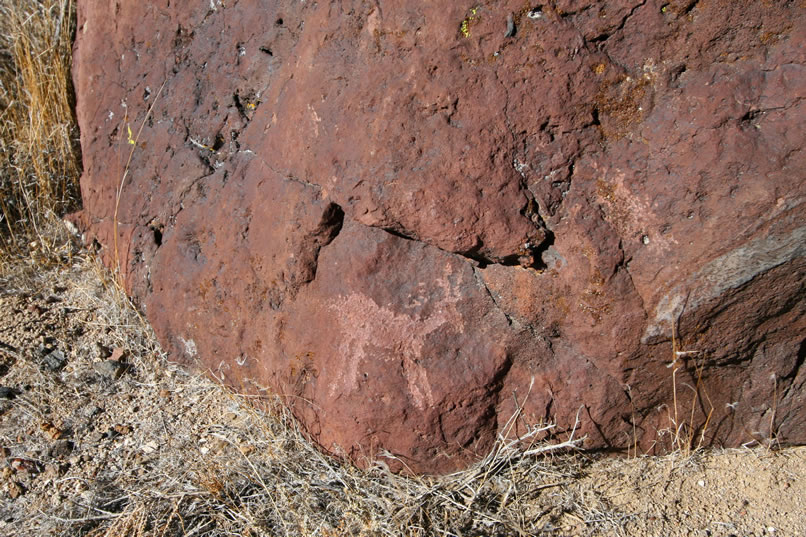 The horns don't seem to have the stereotypical curve to them so we hesitate to call it a bighorn representation.