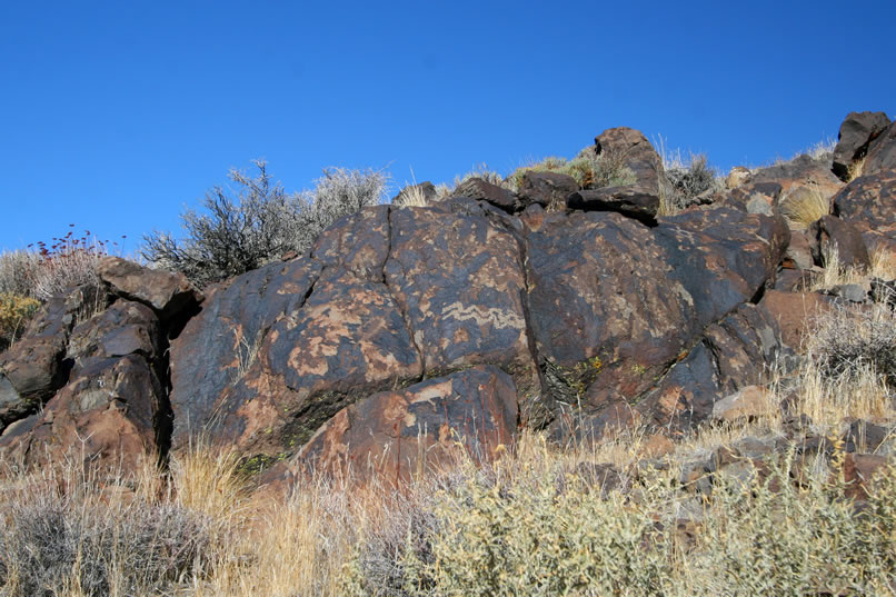 We're up to the entrance to the canyon now and the density of petros is increasing.