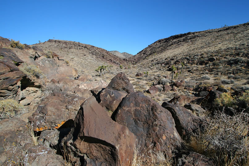 On the boulder in the foreground is a cute little digitate anthropomorph.