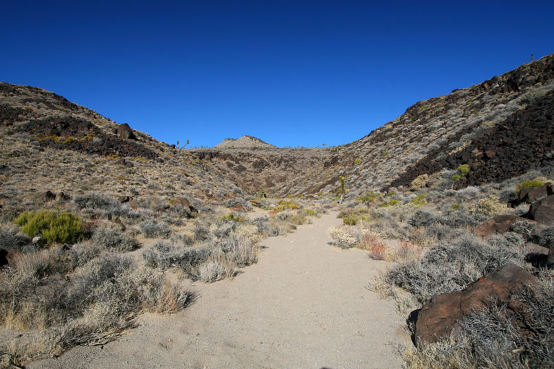 We continue on up the canyon for a way just to be sure that we're not missing anything.