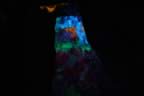 016.jpg (33kb)