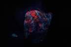 025.jpg (37kb)