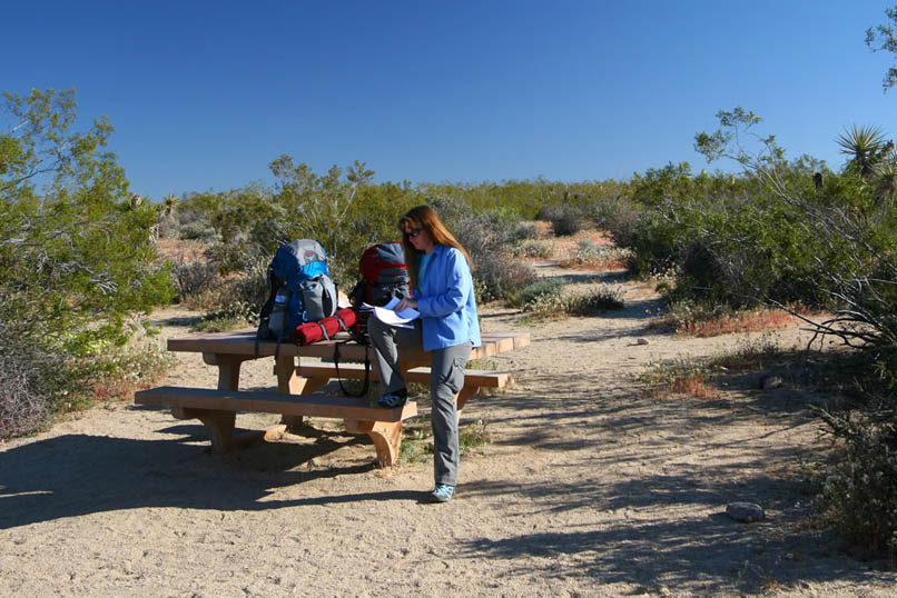 Niki looks through our list of GPS waypoints and satellite photos.  All we need to do now is shoulder our packs and head east to pick up the trail.  It's a beautiful morning and there are tons of wildflowers in bloom!