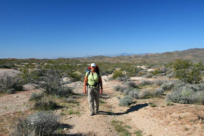 Within a few minutes, we cross the wilderness area boundary and intersect the old road which used to run out to the Iron Chief Mine.  This road had a pipeline running along it that took water from a pumping plant at Cottonwood Spring and carried it eighteen miles to the Iron Chief Mine.  The Iron Chief was located in 1892 and was a good gold producer until it closed in 1902.  There was a spur line dropping down from Conejo Well to join the Iron Chief pipeline, so all we need to do is to follow the old road until we intersect with the Conejo Well road.