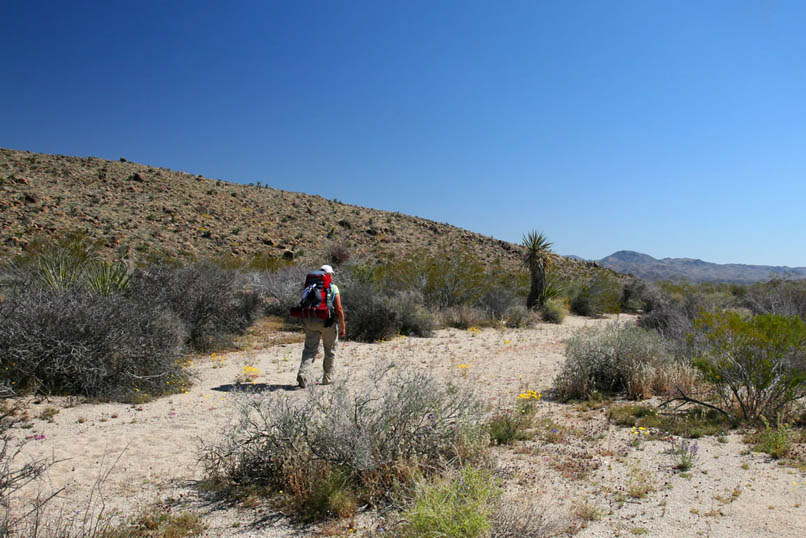 Although our trail through the pass is a bit sandy, it's at least flat.  Our packs weigh around 32 pounds and almost half of that weight is due to the water that we're carrying.  It's nice to know that every drink lightens up our load!