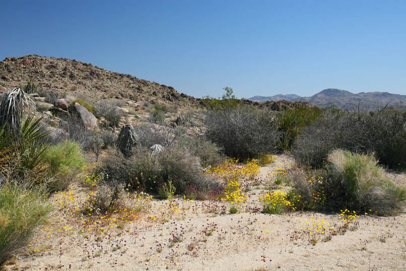 Here are a few views of the scenery as we cross this little plateau.