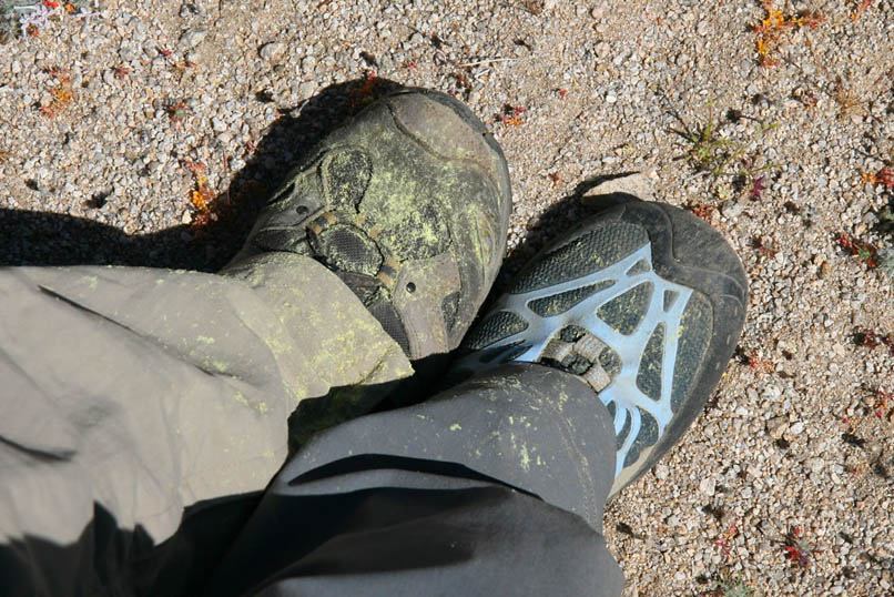 Our boots and pants legs are covered in pollen from wading through the flowers.
