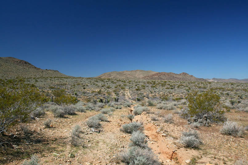 This view is looking back along the road at the pass through the now distant hills.  Nearby we find the faint track coming down from Conejo Well and head off toward our goal.