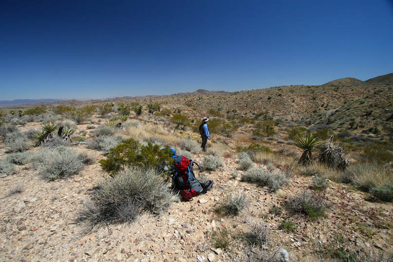 Shortly after making our turn onto the road to Conejo Well, we make a stop.  Our plan is to leave our backpacks here and switch to small daypacks for a cross country hike to the site of a prospect that's shown on the topographic map.  It's pretty hot now so we're careful to take enough water and snacks to fuel us up.