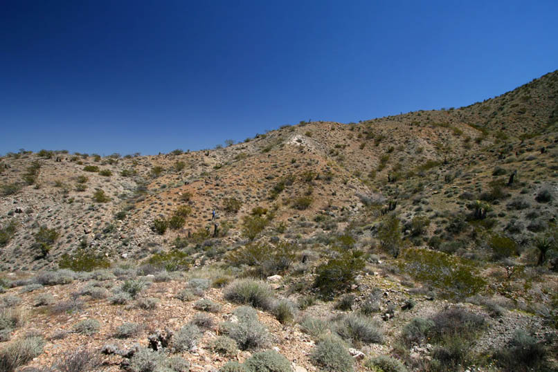 The GPS shows that the prospect shaft should be on the hillside across the wash.  You can see Niki working her way upward to hunt for it.