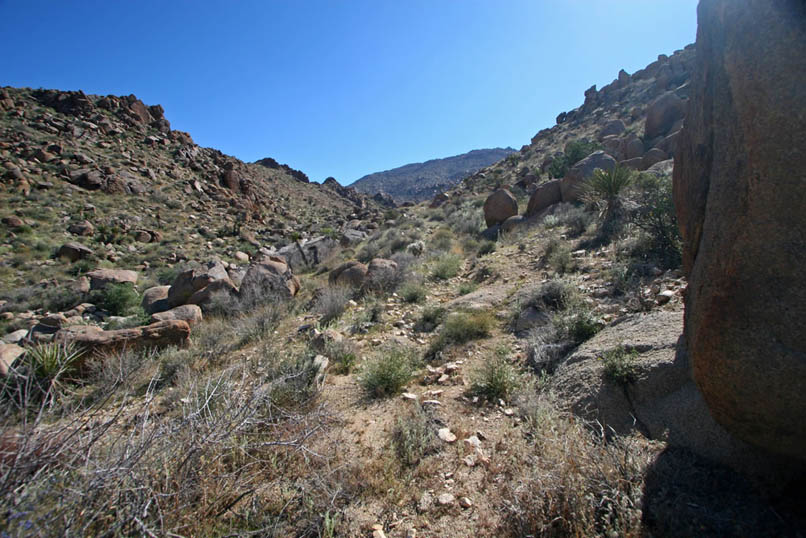 The trail, though faint, still leads us upward.
