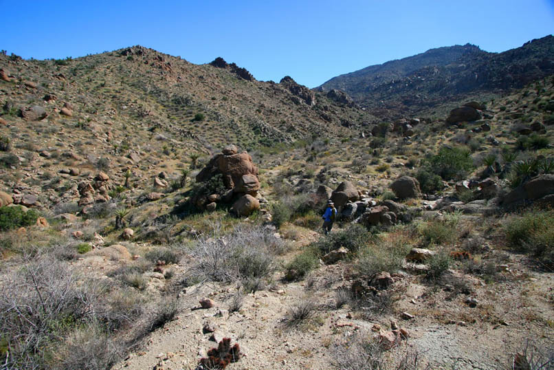 As we continue to thread our way upward along the trail, we're reminded of Colin Fletcher's observation that, "The little canyon that cradled the camp remains fairly inaccessible to humans -- and therefore uncrudded."   He's right about that.  We haven't seen one scrap of trash or any evidence at all of recent use.