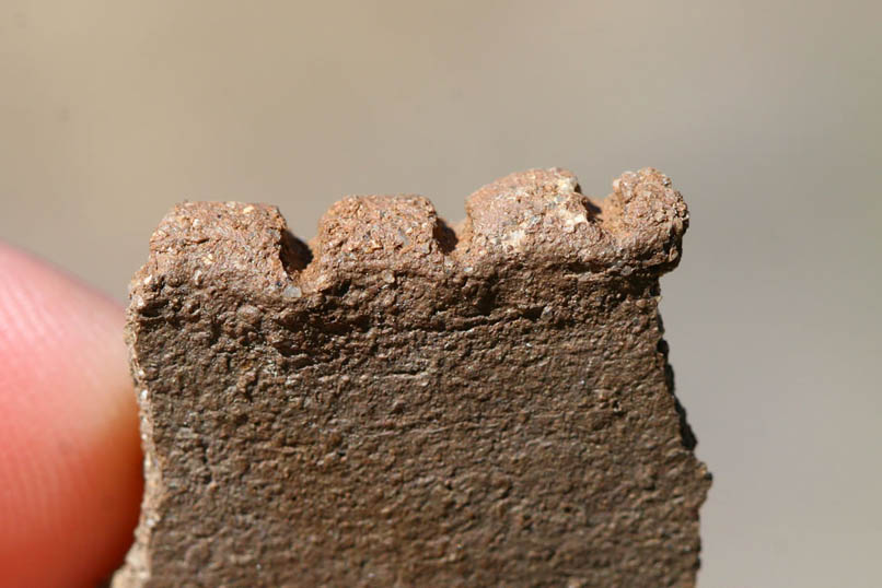 Here's a closer look at the decoration that was impressed into the clay while it was still pliable.