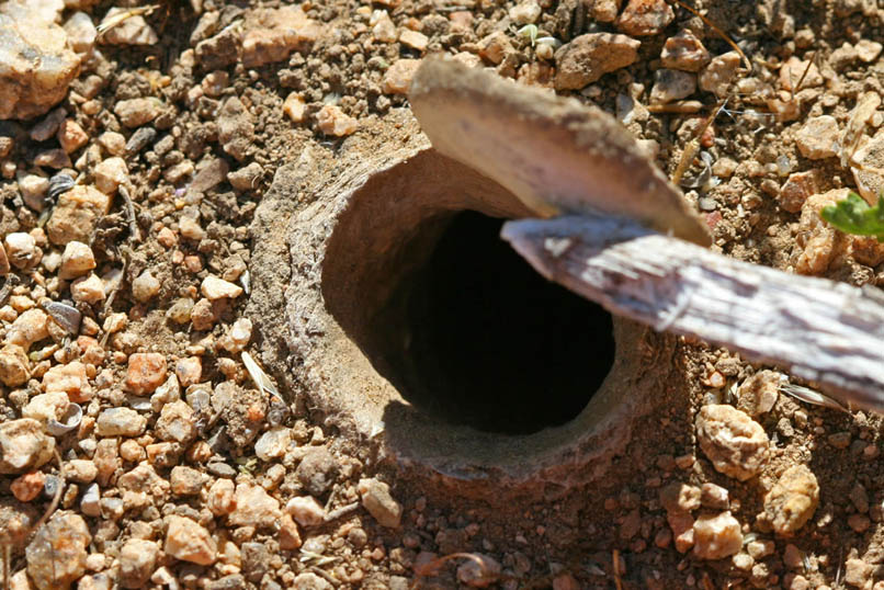 Fortunately, nobody's home!