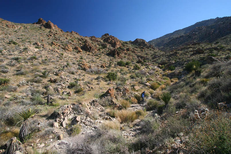 A very faint trail meanders along the right hand bank of the wash.  Niki is down in the bottom of the wash checking out some of the pools of water.