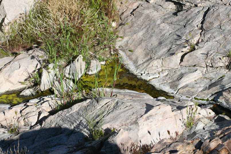 No wonder the Indians, and later Lee Lyons, liked the area so much.  Water is a precious commodity in the desert.