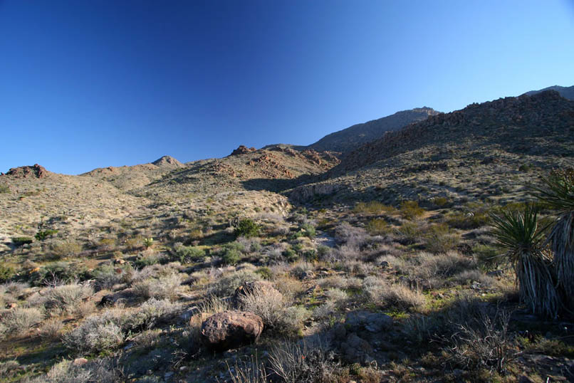 It's tough to argue with Lee Lyons when he called this, "...one of the most beautiful places in the desert."  If you'd like to join us for a bit more exploring and the return hike, just click here and we'll rearrange the laws of physics and take you right to sunrise tomorrow!
