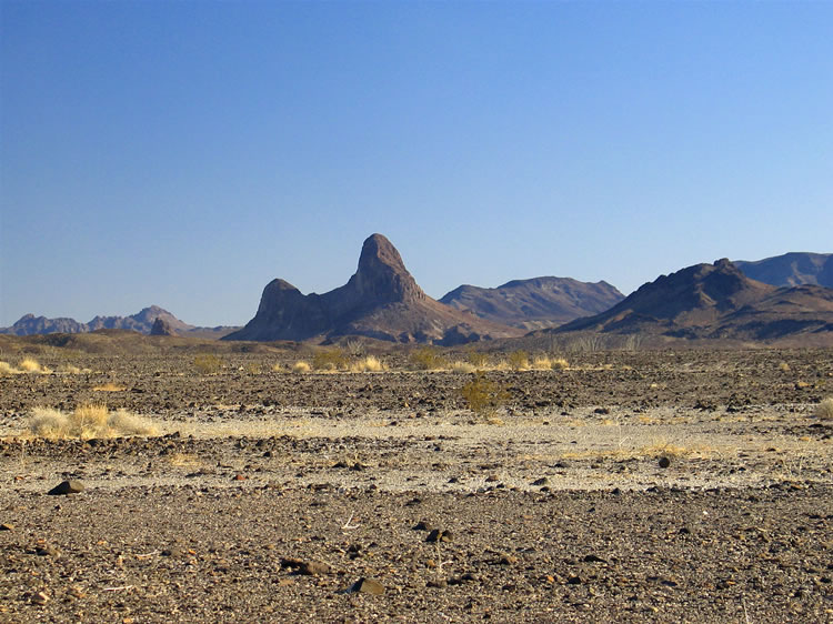 As we head south on the Milpitas Wash Road near Wiley's Well, we get a great view of Thumb Peak.  We'll be seeing this landmark a great deal from different directions during our hikes this weekend, but it's only from the north that it really looks like a thumb!