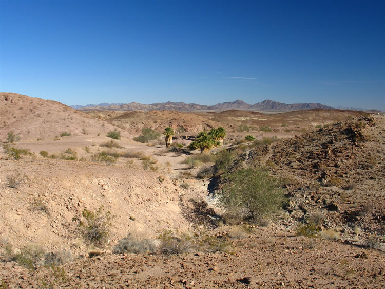 It doesn't take much imagination to realize that the shallow caves on the hillside facing the spring were ideal locations for prehistoric Indians that inhabited this area.