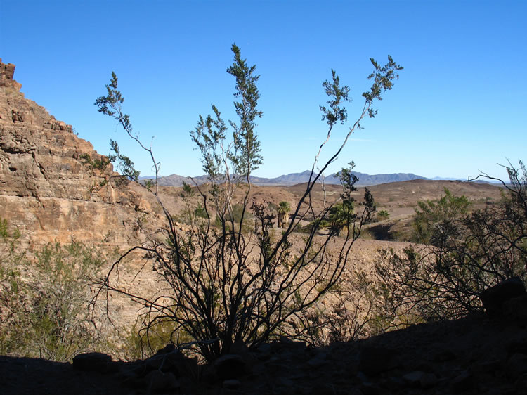 This is the view of the spring that the Indians would have had from their "front porch."