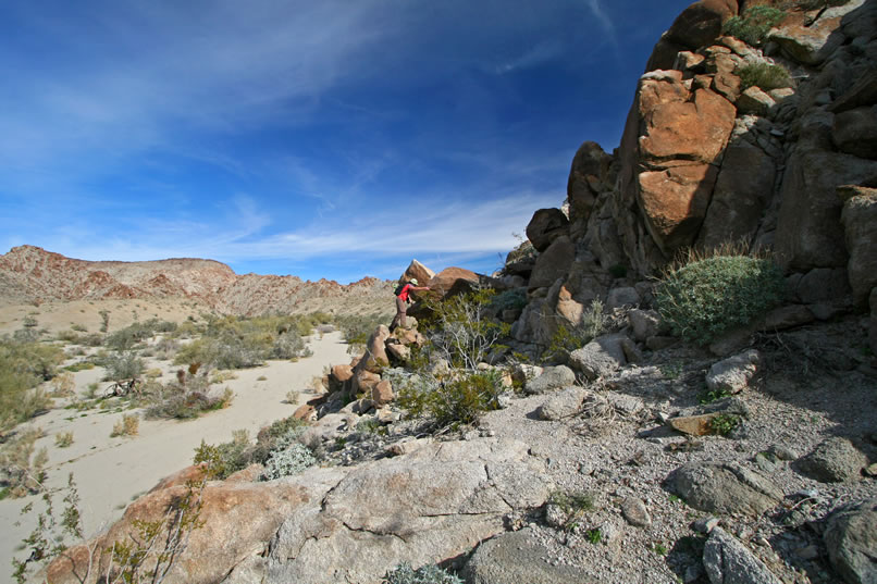 Another likely looking jumble of rocks lures Niki out of the wash.
