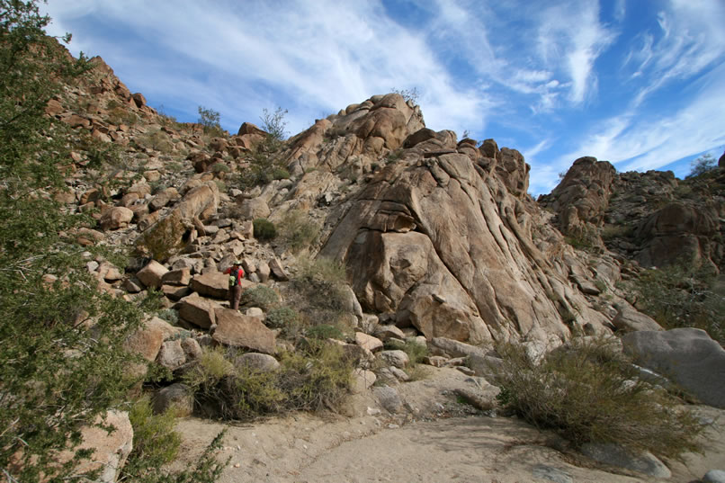 Niki spies another panel of petroglyphs on a cliff face and heads over to take a look.