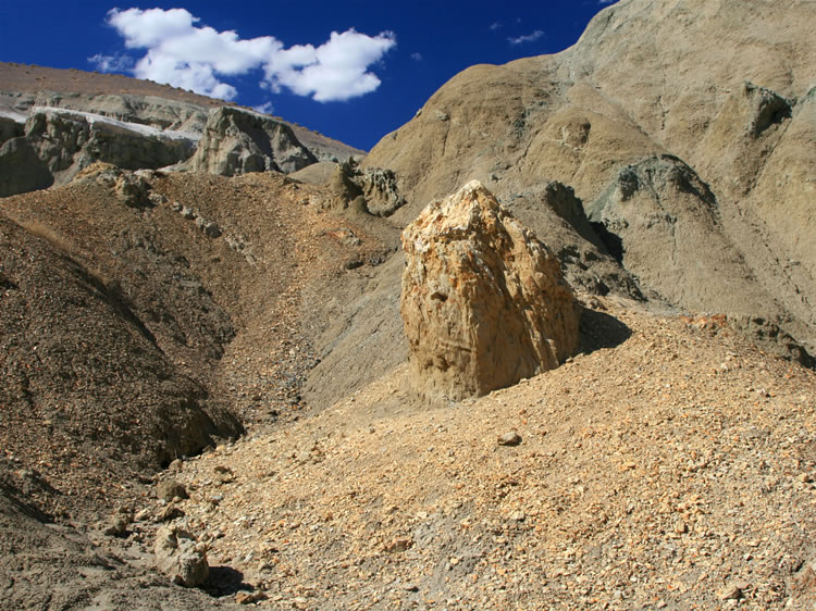 Numerous fossilized tree stumps are found in this area.   The wood is not gem quality, which is good 'cause otherwise there wouldn't be any left,  but it's still colorful and it's remarkable to find so many stumps still standing after 40 million years!
