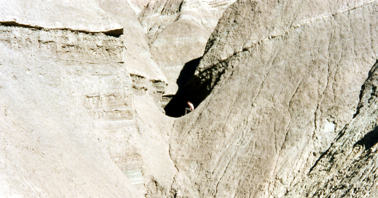 Niki shows off her climbing skills.