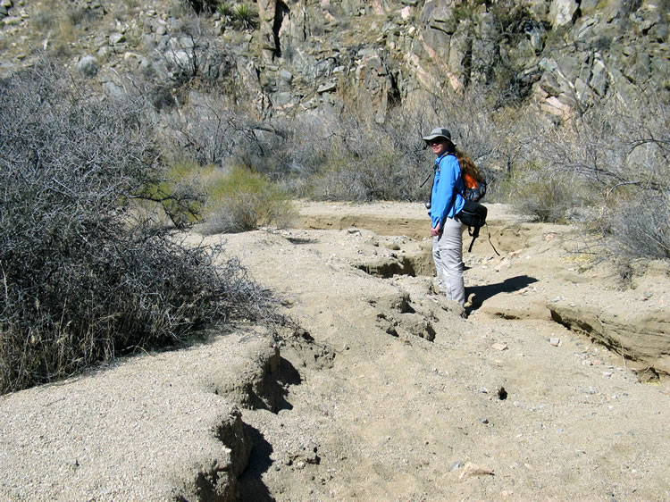 Today we're hunting for a location that Greene, in her Historic Resource Study of JTNP, describes in this way, "This site remains almost intact today, probably due to its isolated location and the fact that no distinct trail leads to it."