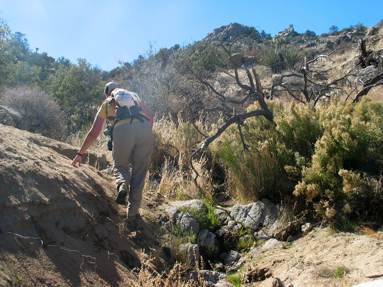 We're well off of the trails now, so its just a matter of gracefully crashing through the brush while following the GPS.
