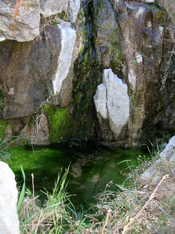 The absolute quiet at this old mine is punctuated by the gurgle and splash of a small waterfall.  But we're after ruins and this isn't it.