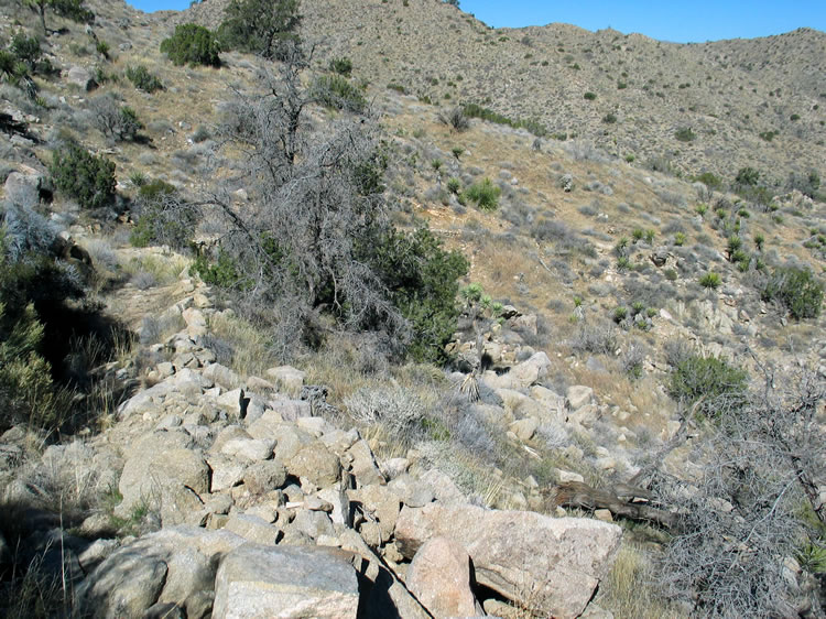 Since the canyon bottom is so overgrown, we decide to climb up the side.  In doing so we stumble across this almost indistinguishable trail.  This view is looking back down the trail.