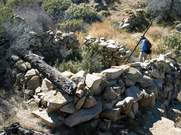 We're guessing, but the stout anchor log and the metal poles still present seem to indicate that this might have been a tent cabin.  This may be true for all the structures here.
