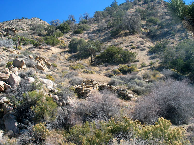 This view is of the largest foundation that Niki has found and explored while I was at the fireplace.