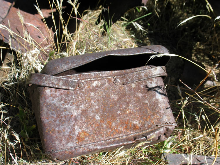 A closer view of the lunch box.