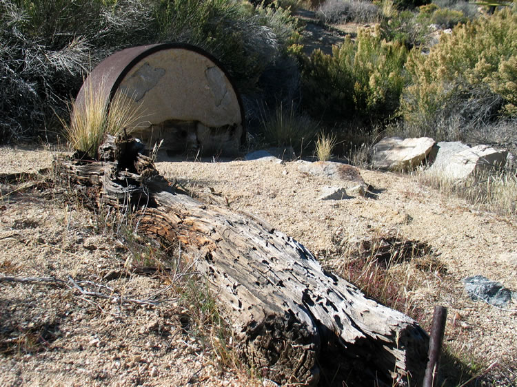 It's possible that this log was used in some capacity as it seems to have metal objects associated with it.