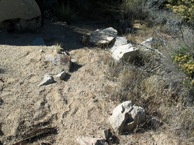 Here you can see part of the channel walls, although most of the arrastra is covered with sand from the nearby stream bed.