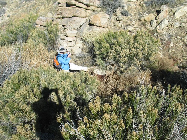 We also spot a second crusher wheel identical to the one higher up the wash.  This one is almost completely hidden by the dense brush in the bottom of the stream bed.