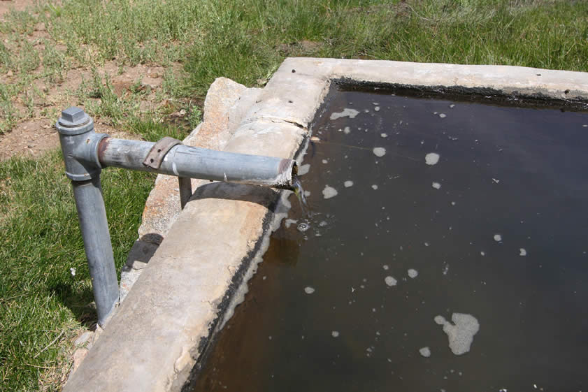 Since the water continually flows into the tanks, there is plenty of overflow that is greatly appreciated by the nearby vegetation.