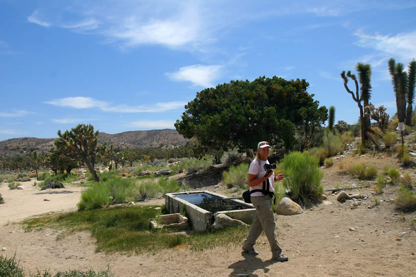 There are three tanks at this location.  Two of them are full of water while the third is cracked and is empty.  Two of the tanks can be seen in this shot.
