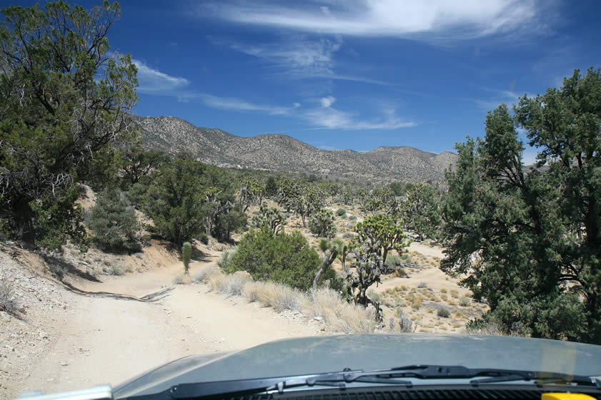 From Mound Spring, we head for the center of an old gold placer mining area and an old cabin that sits on a nearby ridge.